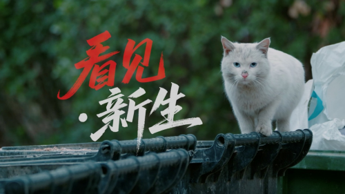 广告主会员注册_会员注册_一站式广告投放_新媒体营销_上178软文网广告平台